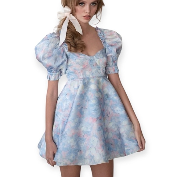 Selkie Dresses & Skirts - Selkie The Monet Parliament Mini Dress NWOT